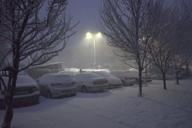 DailyPhoto: /home/marek/Projekty/private/bry/content/images/daily_photo/_A744269.jpg taken on 2024-01-16 07:24:18