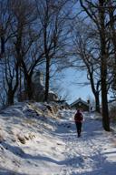 DailyPhoto: /home/marek/Projekty/private/bry/content/images/daily_photo/_A744527.jpg taken on 2024-01-20 11:19:46