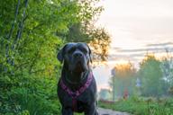 DailyPhoto: /home/marek/Projekty/private/bry/content/images/daily_photo/_A744611.jpg taken on 2025-04-23 05:10:35