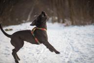 DailyPhoto: /home/marek/Projekty/private/bry/content/images/daily_photo/_A744619.jpg taken on 2024-01-21 08:11:18