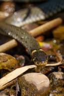 DailyPhoto: /home/marek/Projekty/private/bry/content/images/daily_photo/_A745024.jpg taken on 2025-06-21 12:07:35