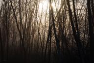 DailyPhoto: /home/marek/Projekty/private/bry/content/images/daily_photo/_A745214.jpg taken on 2024-02-10 08:02:04