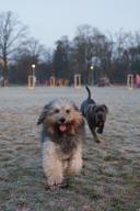 DailyPhoto: /home/marek/Projekty/private/bry/content/images/daily_photo/_A745282.jpg taken on 2024-02-14 06:58:53