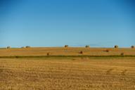 DailyPhoto: /home/marek/Projekty/private/bry/content/images/daily_photo/_A745677.jpg taken on 2025-08-17 17:32:52