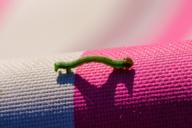 DailyPhoto: /home/marek/Projekty/private/bry/content/images/daily_photo/_A745691.jpg taken on 2025-08-18 17:23:12