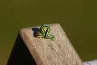 DailyPhoto: /home/marek/Projekty/private/bry/content/images/daily_photo/_A745709.jpg taken on 2025-08-18 17:23:44