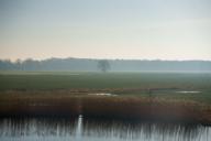 DailyPhoto: /home/marek/Projekty/private/bry/content/images/daily_photo/_A746034.jpg taken on 2024-02-25 08:52:20