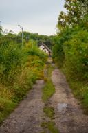 DailyPhoto: /home/marek/Projekty/private/bry/content/images/daily_photo/_A746182.jpg taken on 2025-09-13 09:38:04