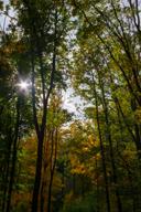 DailyPhoto: /home/marek/Projekty/private/bry/content/images/daily_photo/_A746295.jpg taken on 2025-10-12 11:10:06