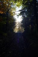 DailyPhoto: /home/marek/Projekty/private/bry/content/images/daily_photo/_A746341.jpg taken on 2025-10-19 07:47:45