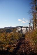 DailyPhoto: /home/marek/Projekty/private/bry/content/images/daily_photo/_A746361.jpg taken on 2025-10-19 08:01:59