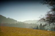 DailyPhoto: /home/marek/Projekty/private/bry/content/images/daily_photo/_A746794.jpg taken on 2025-12-27 13:31:50