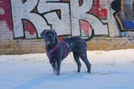 DailyPhoto: /home/marek/Projekty/private/bry/content/images/daily_photo/_A746834.jpg taken on 2026-01-13 07:32:50