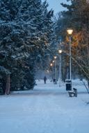 DailyPhoto: /home/marek/Projekty/private/bry/content/images/daily_photo/_A746860.jpg taken on 2026-01-13 07:40:13