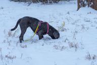 DailyPhoto: /home/marek/Projekty/private/bry/content/images/daily_photo/_A746888.jpg taken on 2026-01-13 07:55:37