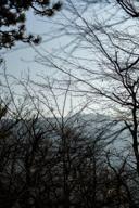 DailyPhoto: /home/marek/Projekty/private/bry/content/images/daily_photo/_A747046.jpg taken on 2026-03-07 15:55:15