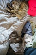 DailyPhoto: /home/marek/Projekty/private/bry/content/images/daily_photo/_A747087.jpg taken on 2026-03-29 13:40:54