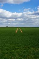 DailyPhoto: /home/marek/Projekty/private/bry/content/images/daily_photo/_A747123.jpg taken on 2026-04-06 13:14:57