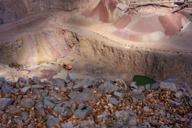 DailyPhoto: /home/marek/Projekty/private/bry/content/images/daily_photo/_A747195.jpg taken on 2026-04-18 13:18:01