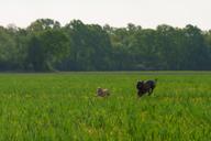 DailyPhoto: /home/marek/Projekty/private/bry/content/images/daily_photo/_A747937.jpg taken on 2024-04-13 07:41:22