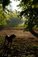 DailyPhoto: /home/marek/Projekty/private/bry/content/images/daily_photo/_A748172.jpg taken on 2024-04-23 05:56:05