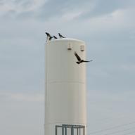 DailyPhoto: /home/marek/Projekty/private/bry/content/images/daily_photo/_A748270.jpg taken on 2024-05-11 07:03:43