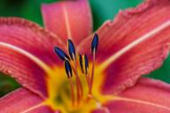 DailyPhoto: /home/marek/Projekty/private/bry/content/images/daily_photo/_A749397.jpg taken on 2024-06-02 08:38:21