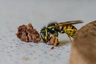 DailyPhoto: /home/marek/Projekty/private/bry/content/images/daily_photo/_A749754.jpg taken on 2024-07-15 11:27:12