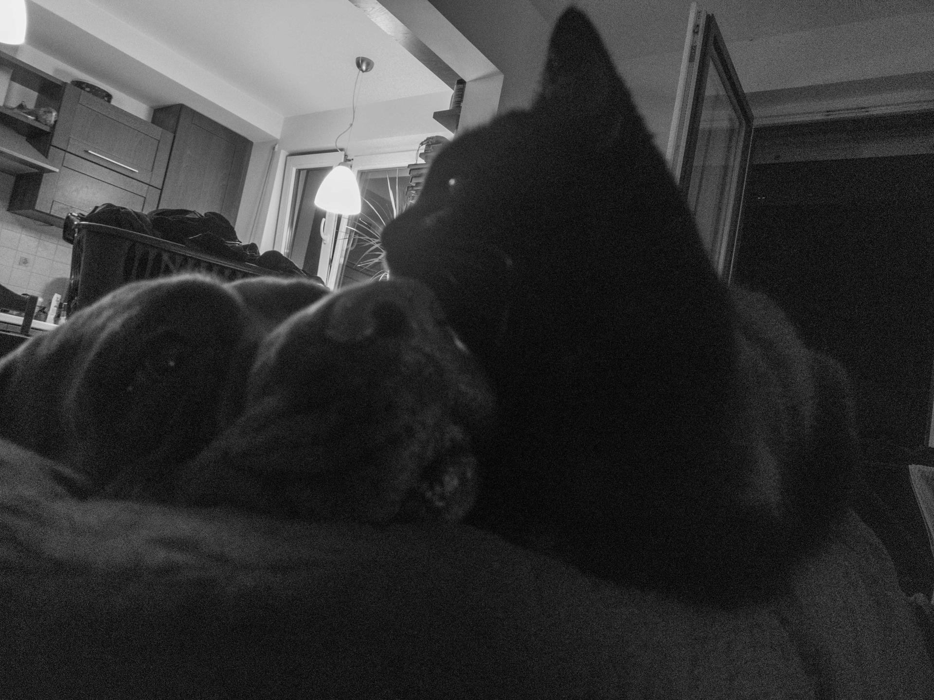 Daily photo IMG_20250907_204848_2.jpg