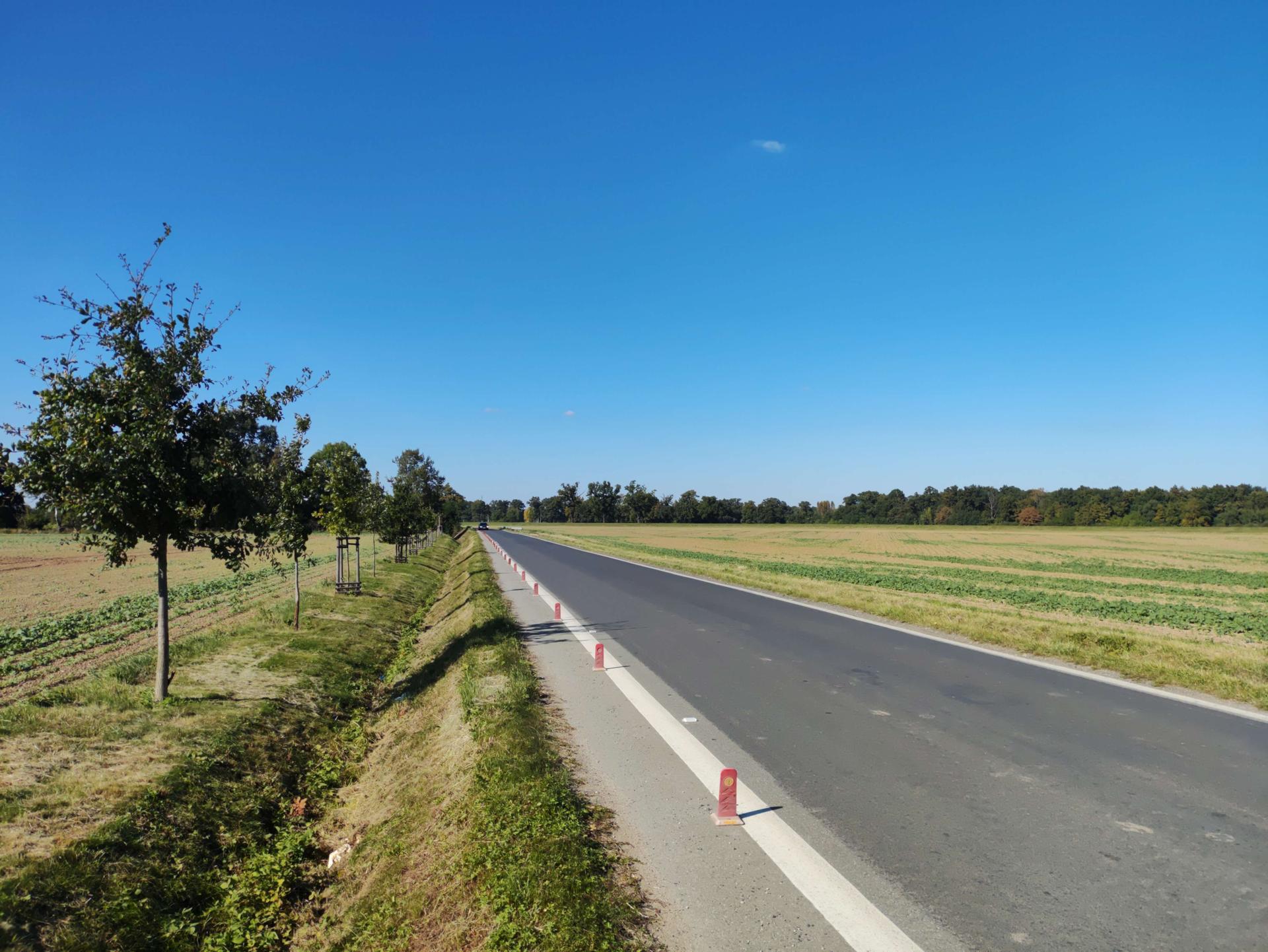 Daily photo IMG_20250928_141255_1.jpg