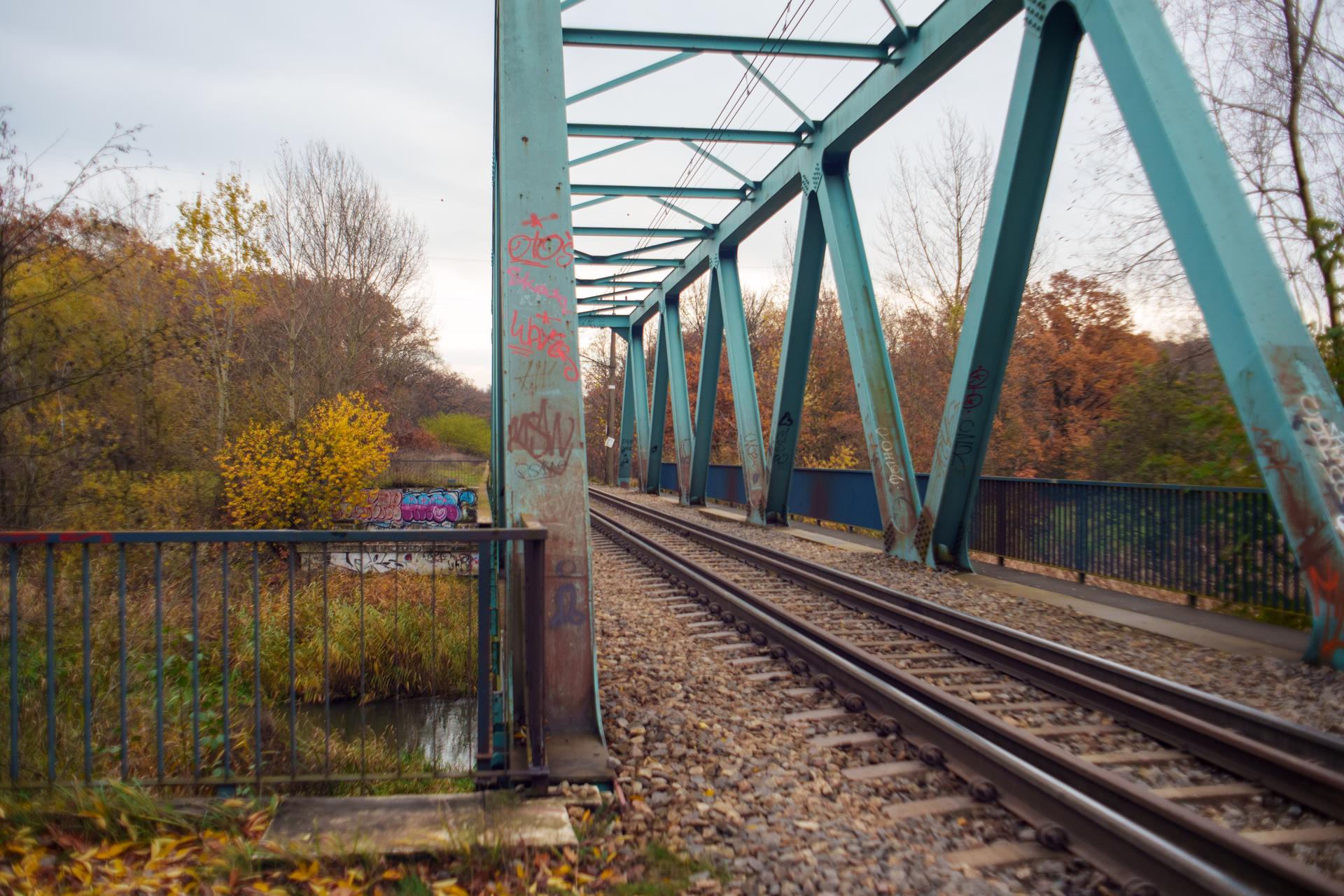 Daily photo _A746604.jpg