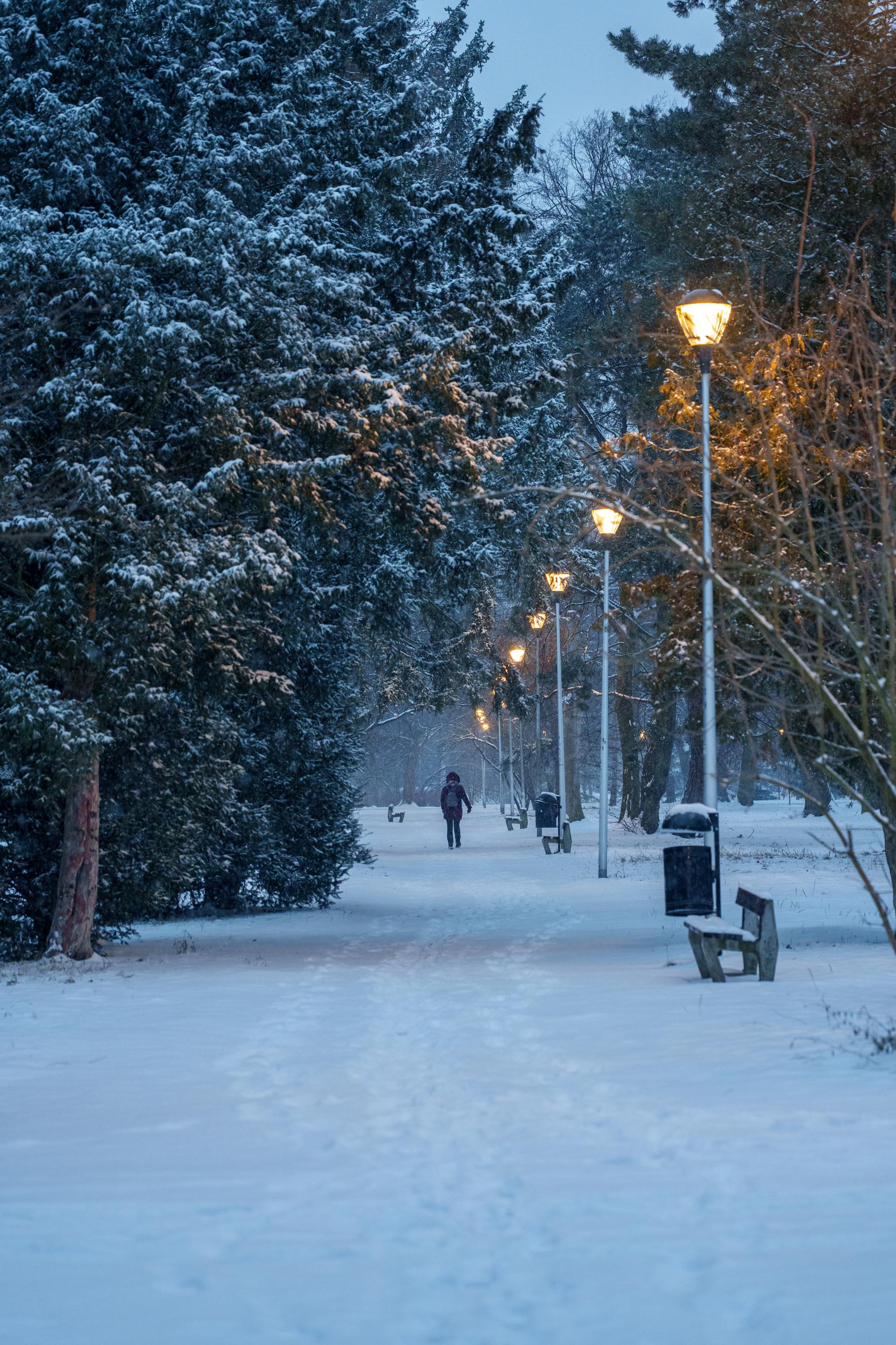 Daily photo _A746860.jpg