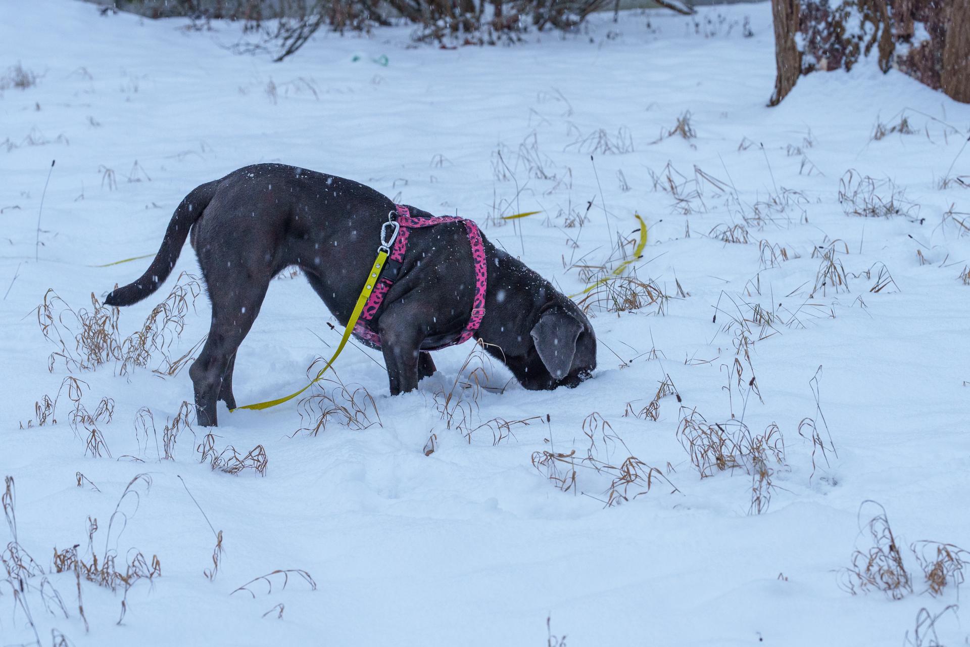 Daily photo _A746888.jpg