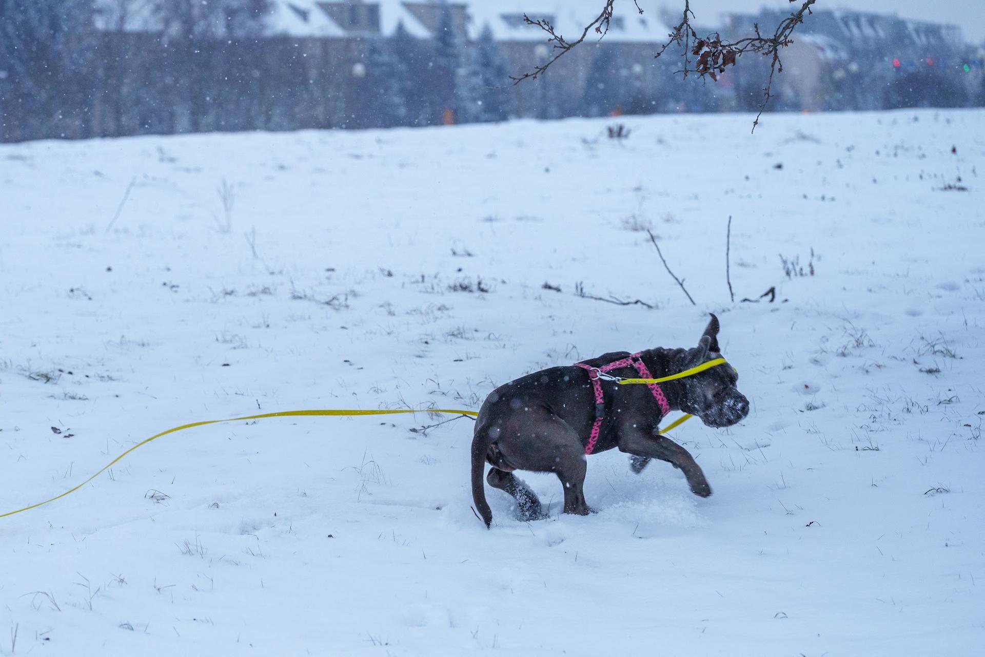 Daily photo _A746895.jpg