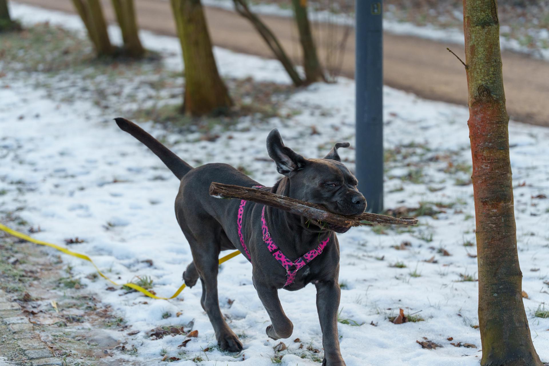 Daily photo _A746944.jpg