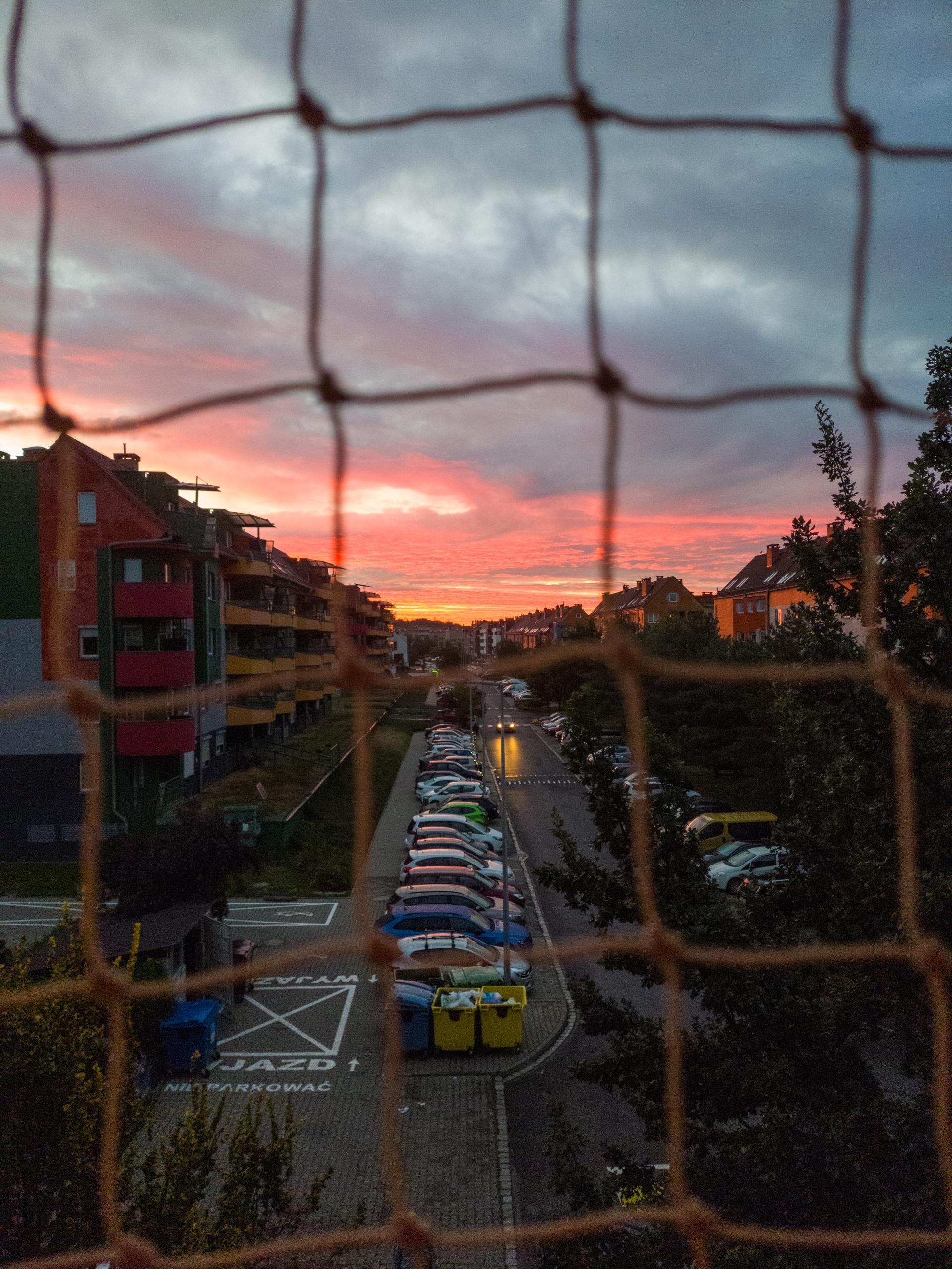 Daily photo image.jpg