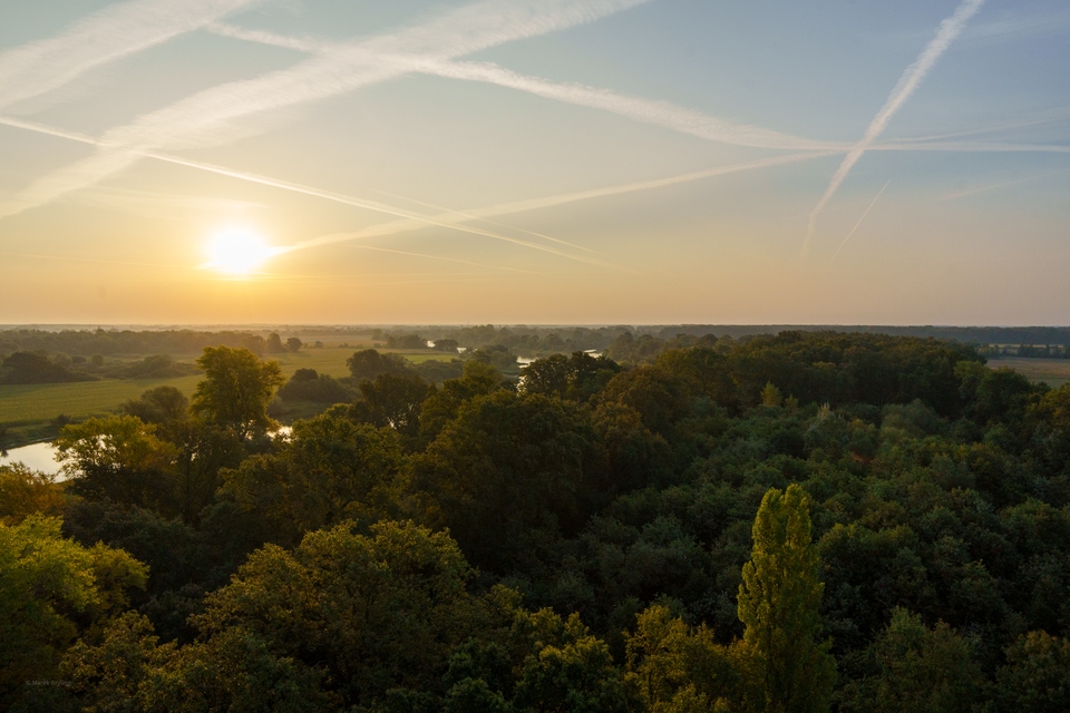 Widok z wieży w Kotowicach